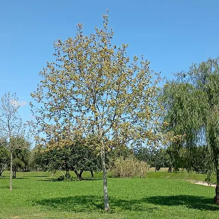 Bel Au Coeur Du Golf Panoramica *